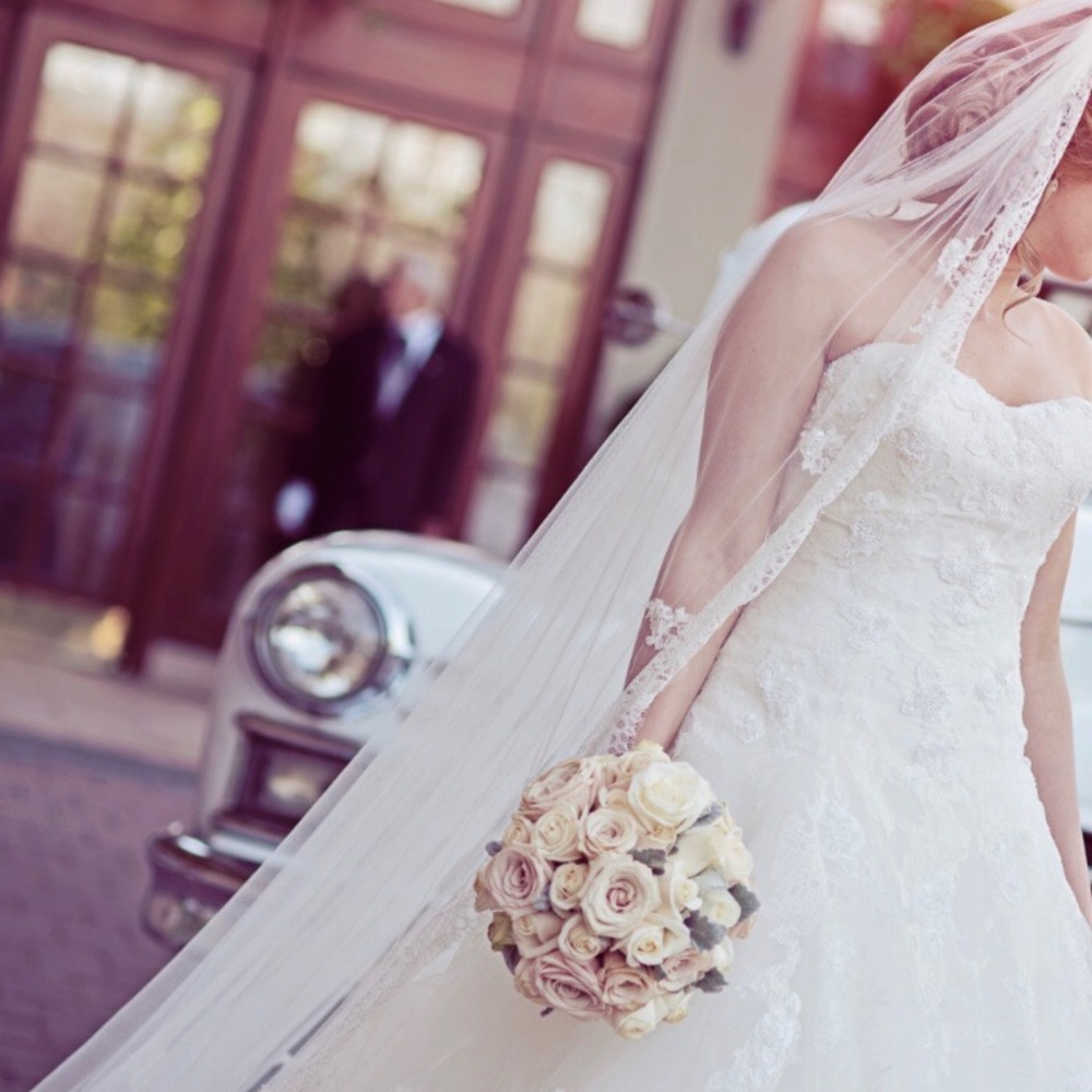 Classic Pronovias Wedding Dress - Picture 2 of 8